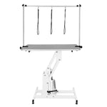 White Hydraulic Grooming Table | Grey