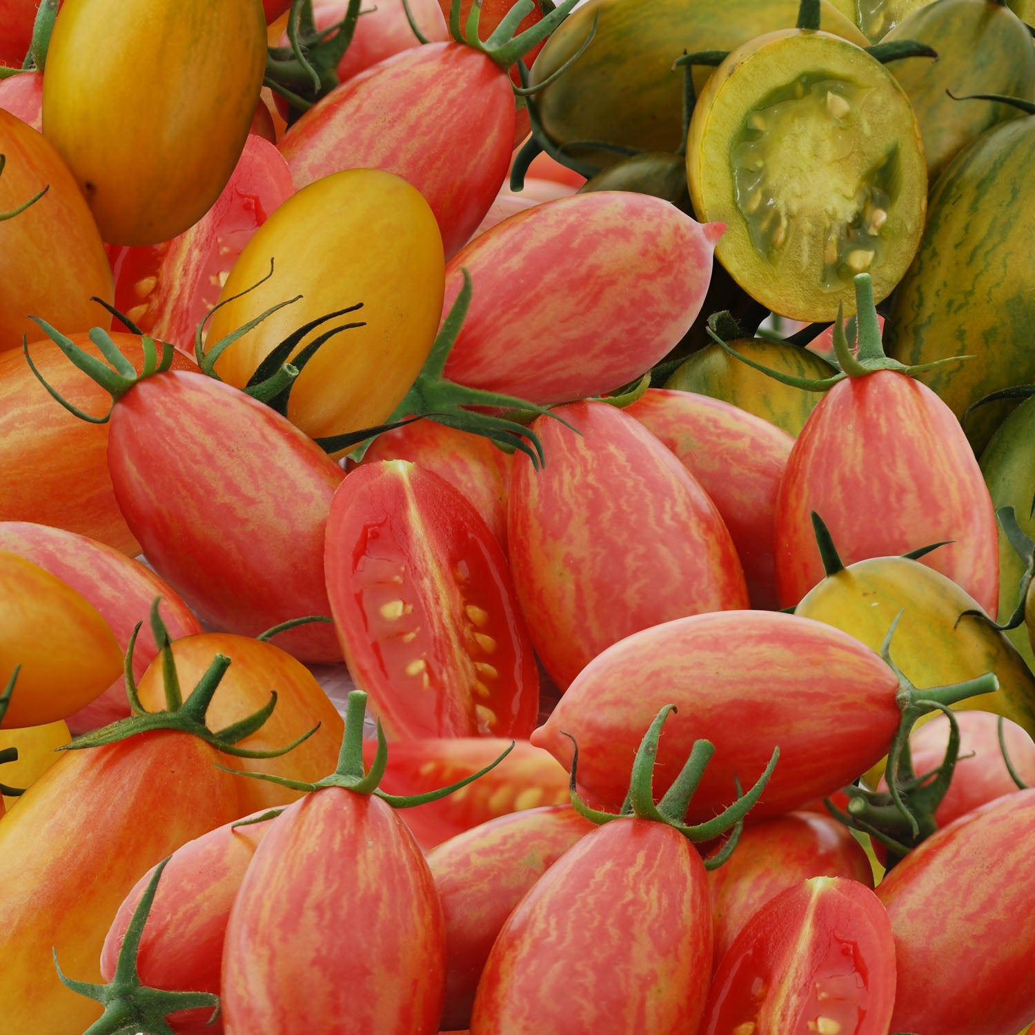 Tomato Seeds Cherry And Plum Tiger Stripe Mix Seeds | 8 Seeds