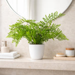 Artificial Potted Southern Wood Fern 30cm