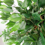 90cm  Realistic Artificial Ficus Tree / Plant