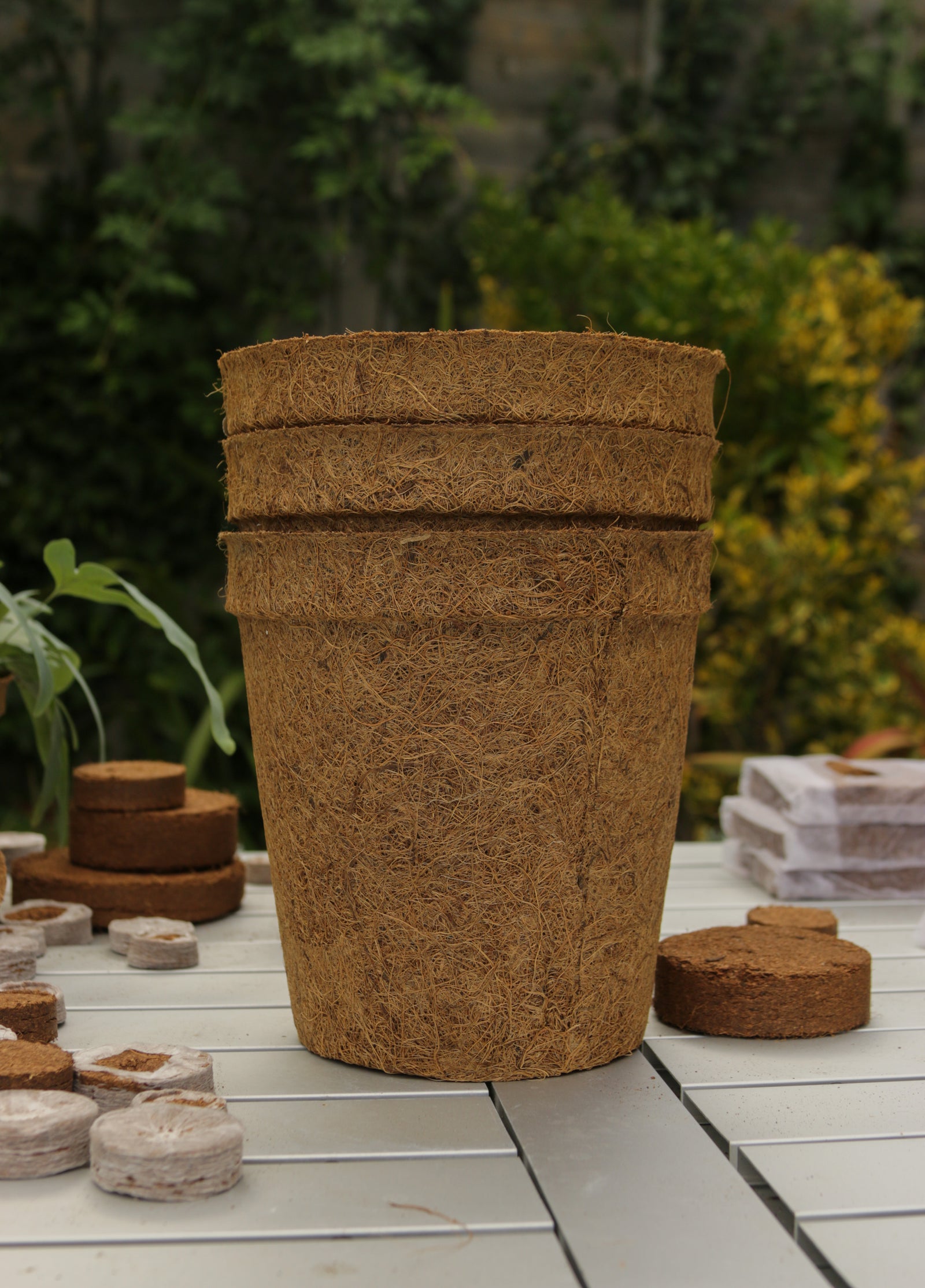 23cm Coir Pots Pack Of 10