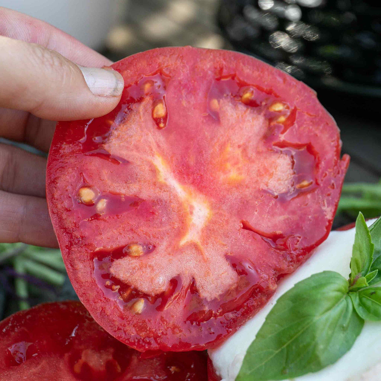 Tomato 'buffalo Steak' Seeds | 10 Seeds
