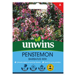 Penstemon Barbatus Mix | 250 Seeds | Multi