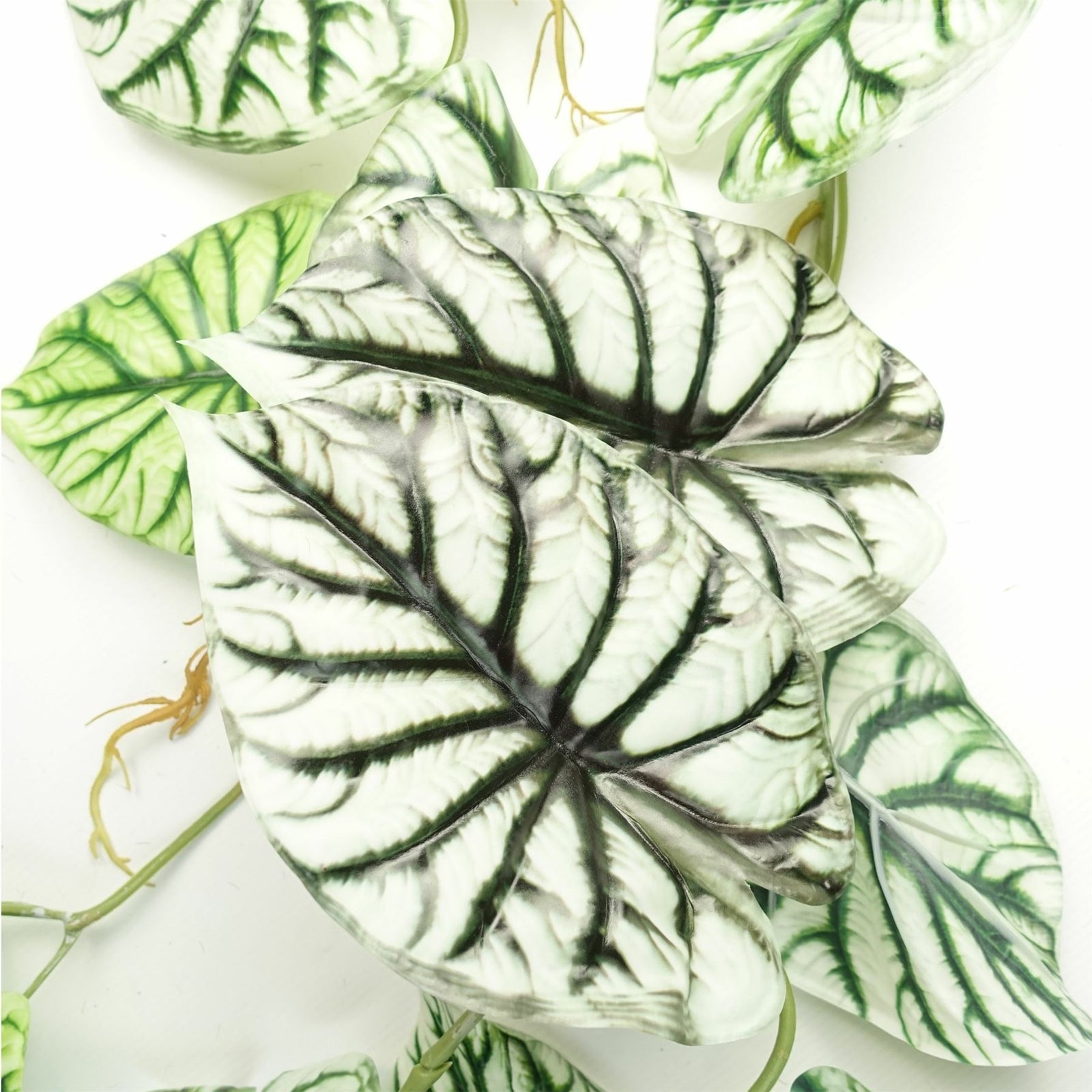 Artificial 120cm Trailing Hanging Plant Alocasia Dragon Scale