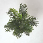 Multi Stem Green Palm Tree In Pot | 120cm | Green