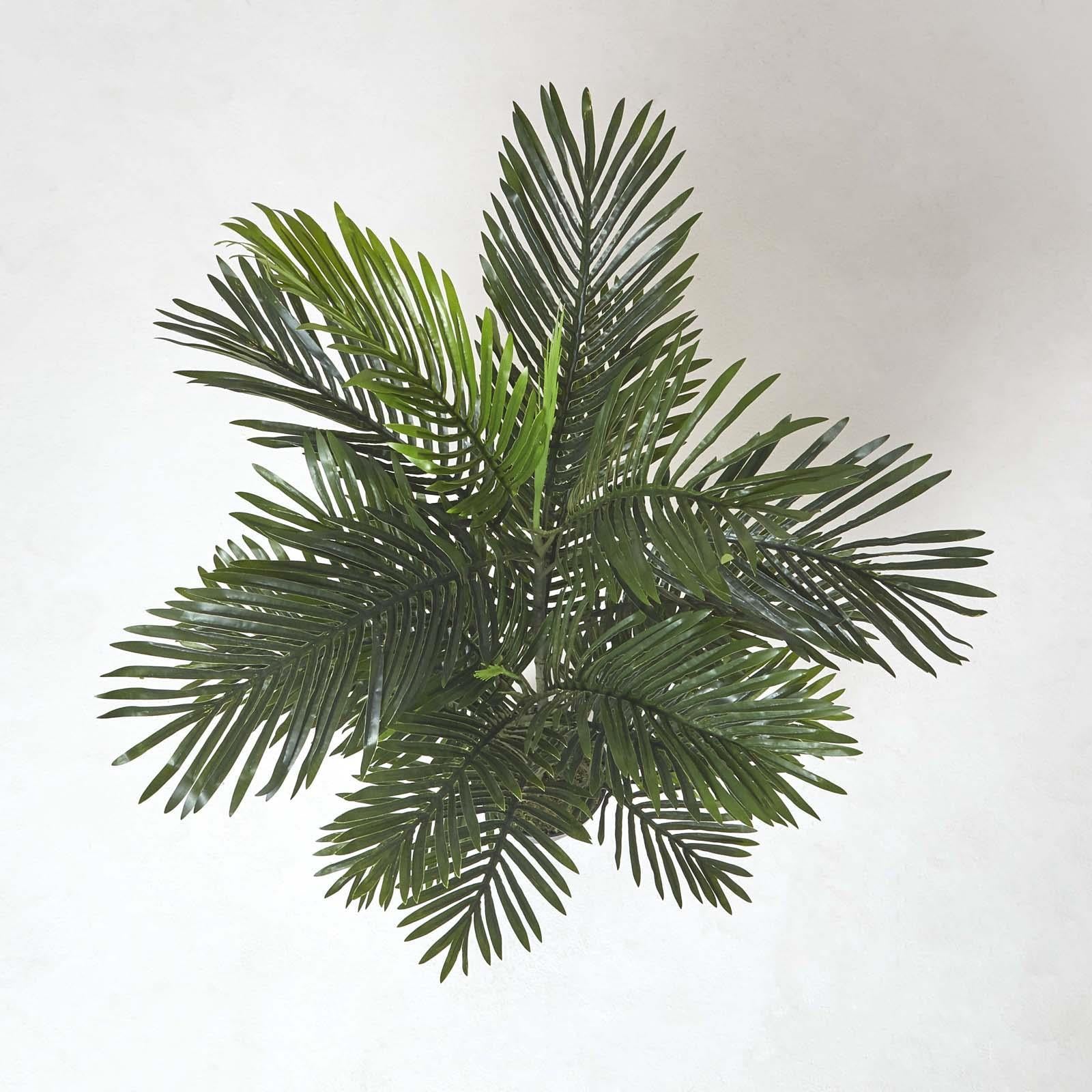 Multi Stem Green Palm Tree In Pot | 120cm | Green