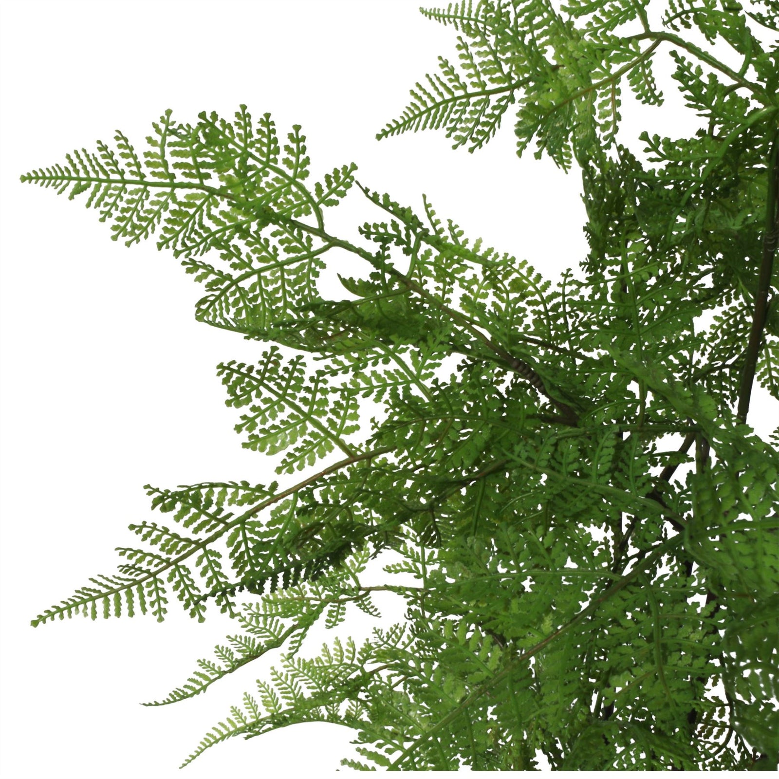 150cm Artificial Natural Moss Base Fern Foliage Plant With Copper Metal Plater