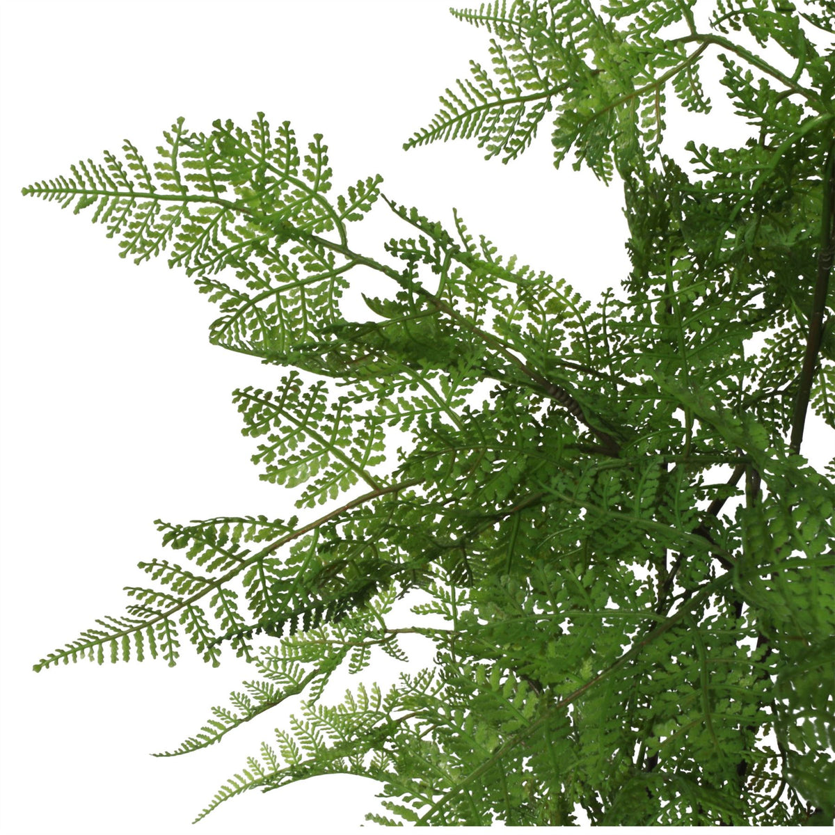 150cm Artificial Moss Base Fern Foliage Plant With Copper Metal Plater