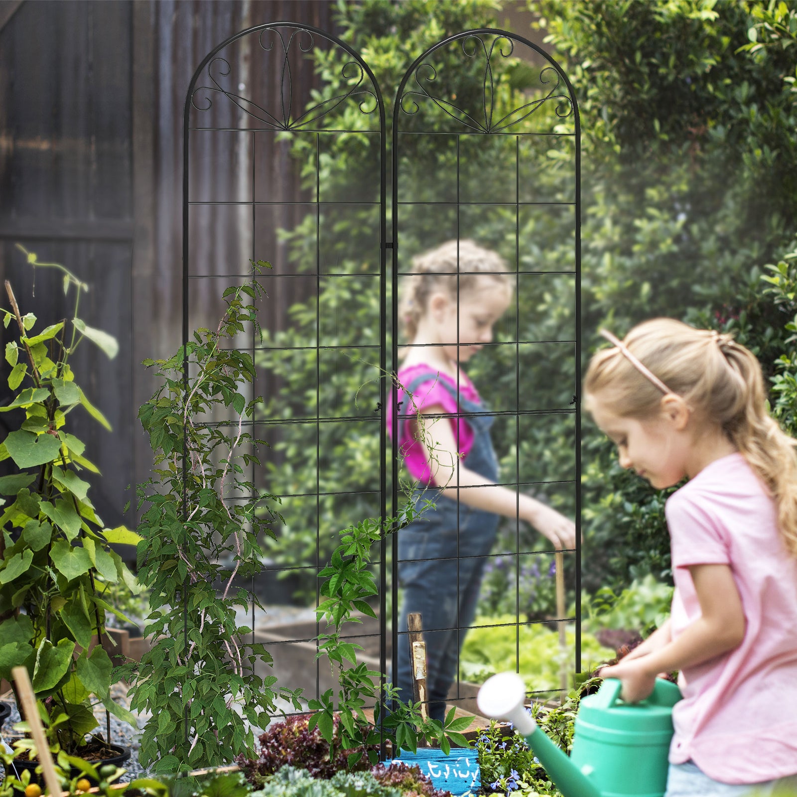 Set Of 2 Metal Climbing Plant Trellis 50 X 180cm