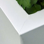 Zinc Galvanised Square Planter | 60cm x 60cm x 60cm | White