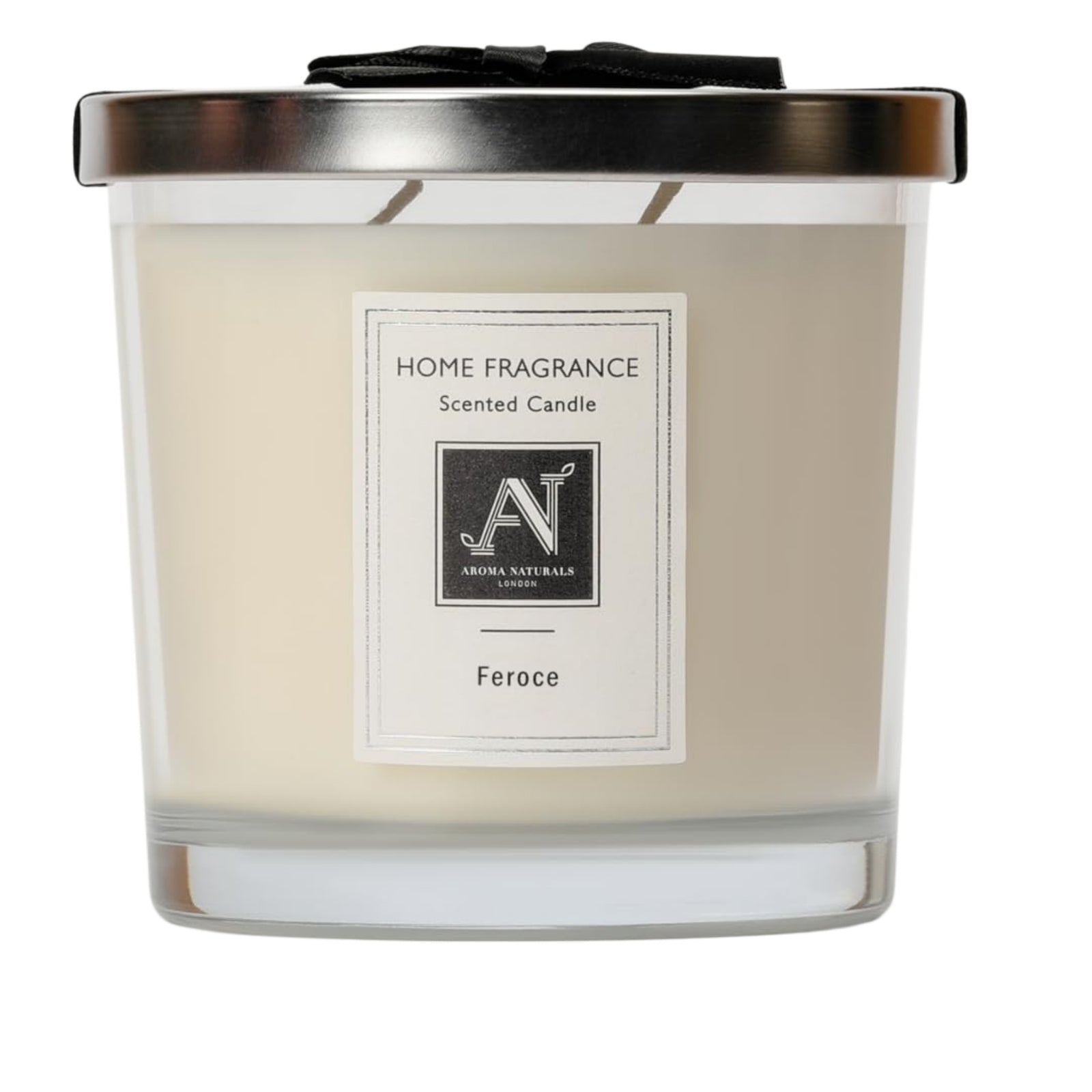 Minimalist Luxe Feroce 2-wick Scented Candle