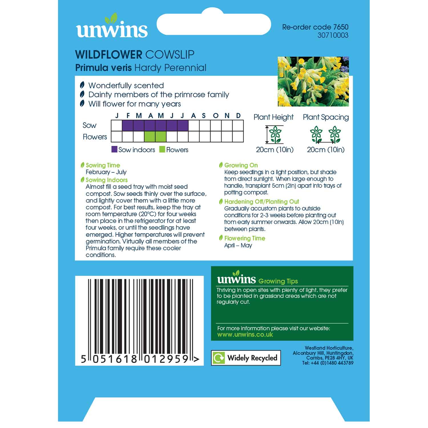 Cowslip Wildflower Seeds | 140 Seeds