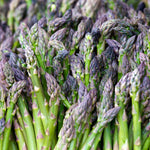 Asparagus Crown Gijnlim - Early, High-yielding Variety | Set of 5 | Green