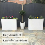 Long Zinc Galvanised Tall Trough Planter | 80cm x 25cm x 60cm | White