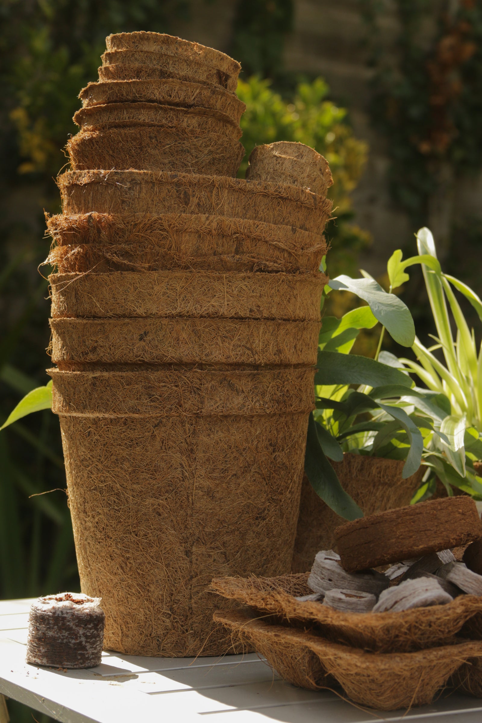 17cm Coir Pots Pack Of 10