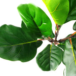 Artificial Fiddle Fig Plant 60cm