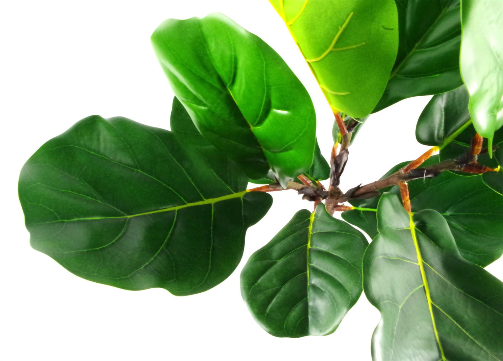 Artificial Fiddle Fig Plant 60cm
