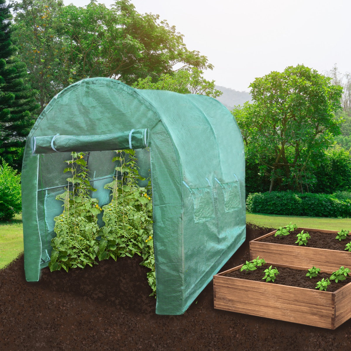 Polytunnel | 25mm 3m x 2m | Green