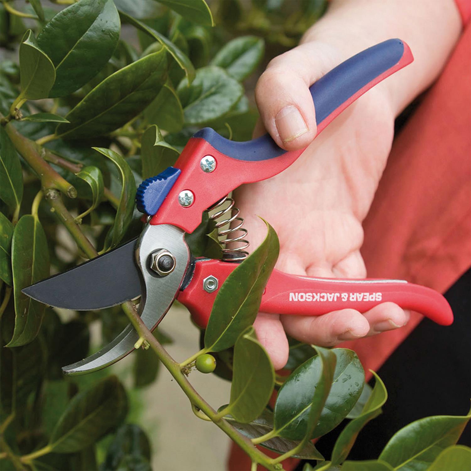 Bypass Secateurs, Ergonomic Design, Razorsharp Garden Tool