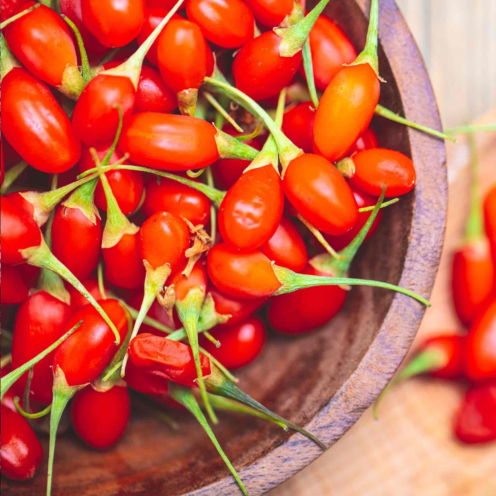 Goji Berry Plant - Hardy Perennial | 3 x 9cm | Red
