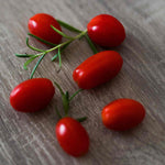 Goji Berry Plant - Hardy Perennial | 1 x 9cm | Red