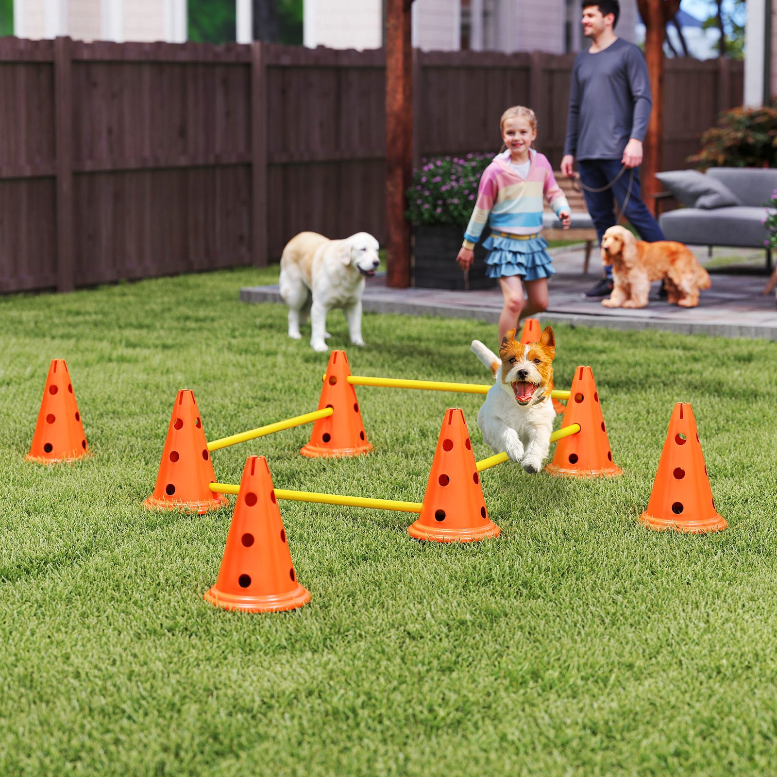 Dog Agility Equipment Set, Four-piece Adjustable Height Jumping | Medium | Orange