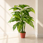 100cm Large Fox's Aglaonema Tree Artificial Plant