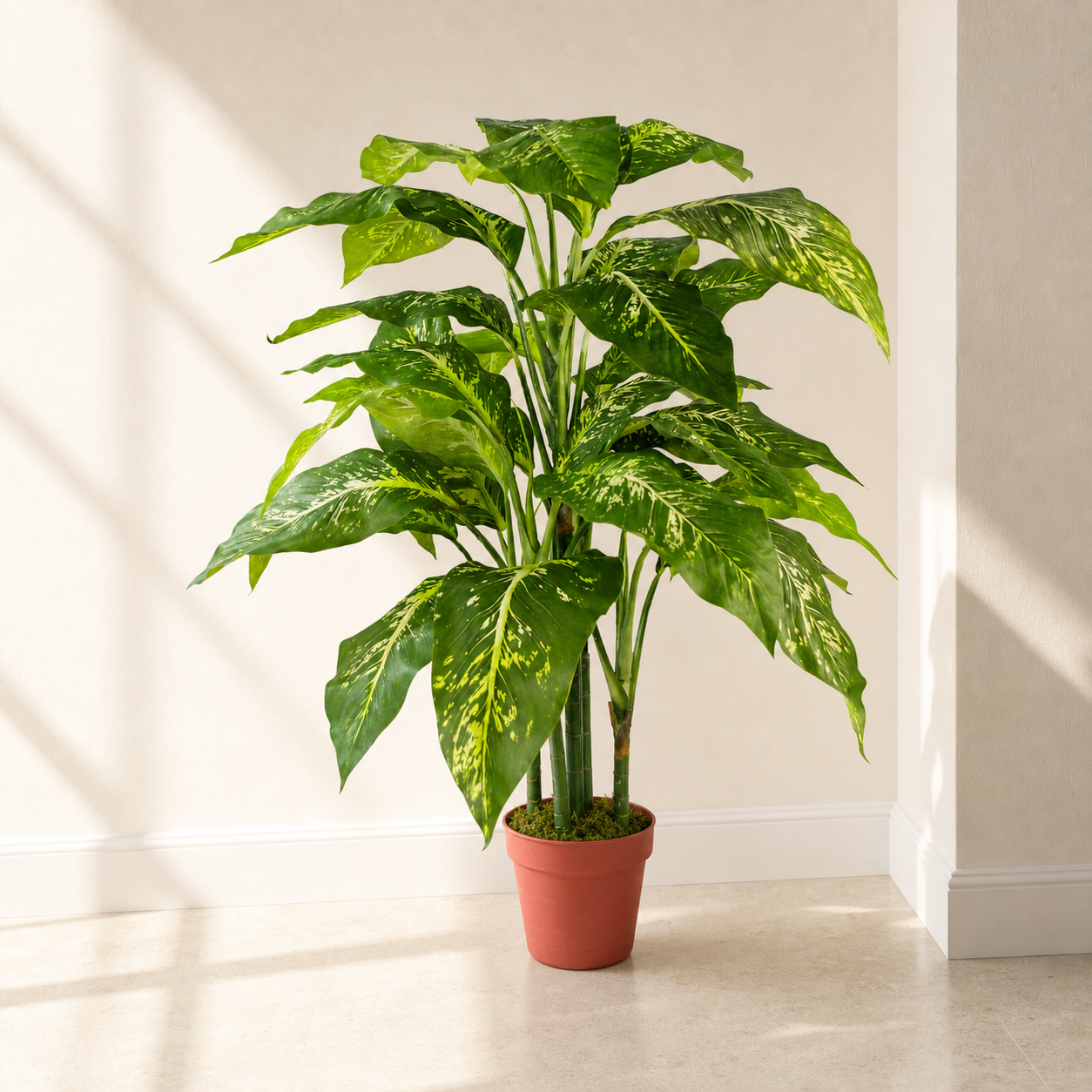 100cm Large Fox's Aglaonema Tree Artificial Plant