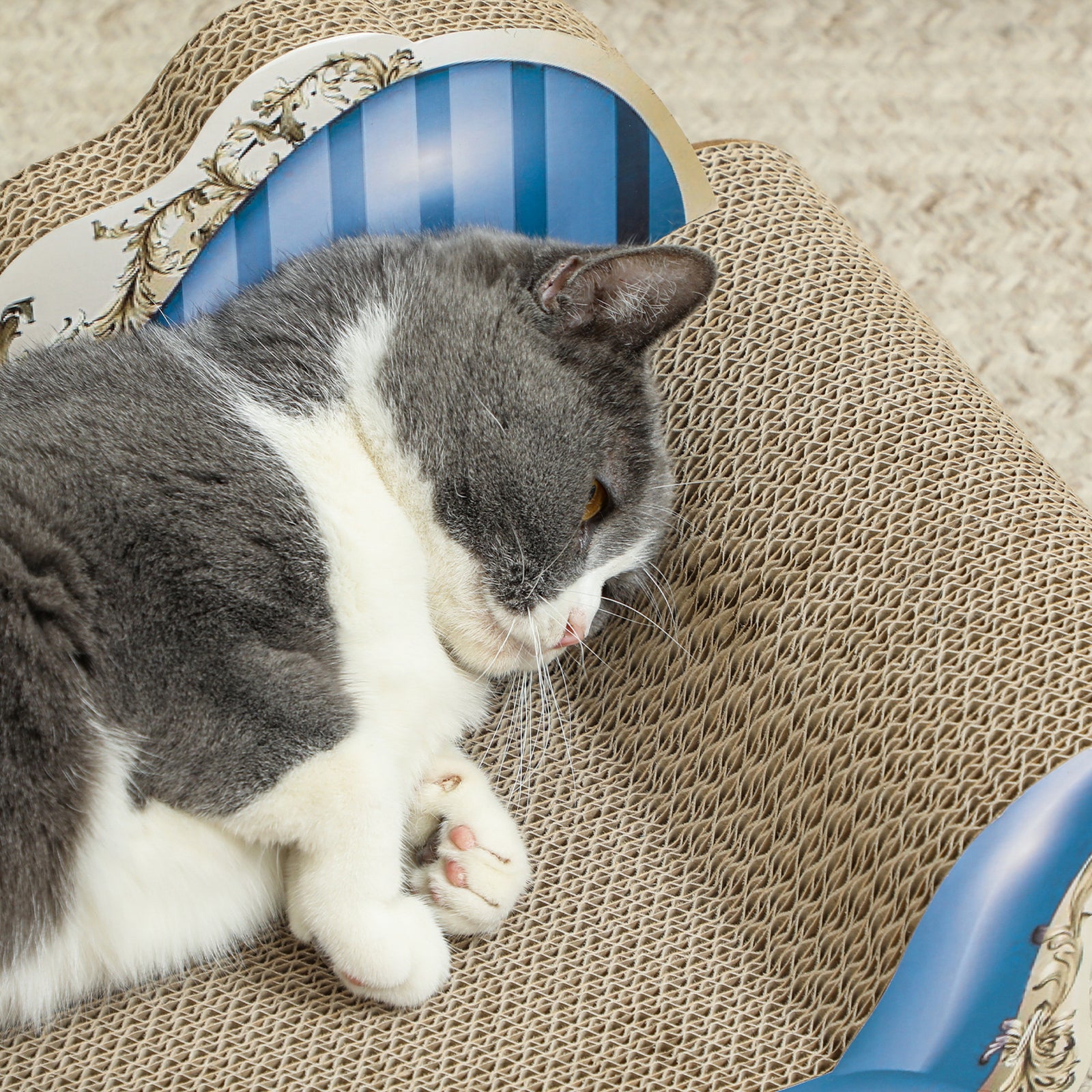 2 In1 Cat Scratcher With Catnip, Cardboard Lounge Bed, Blue