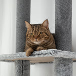 225-255cmh Floor-to-ceiling Cat Tree For Indoor Cats W/ Condo Ramp