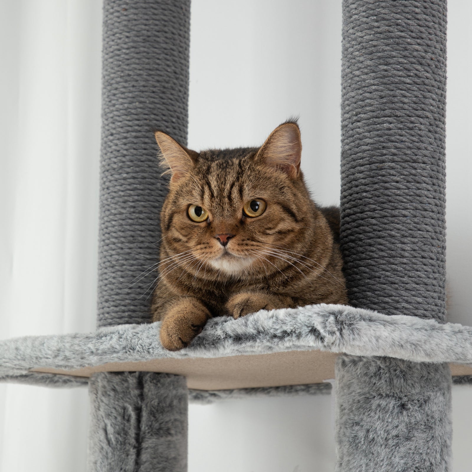 225-255cmh Floor-to-ceiling Cat Tree For Indoor Cats W/ Condo Ramp