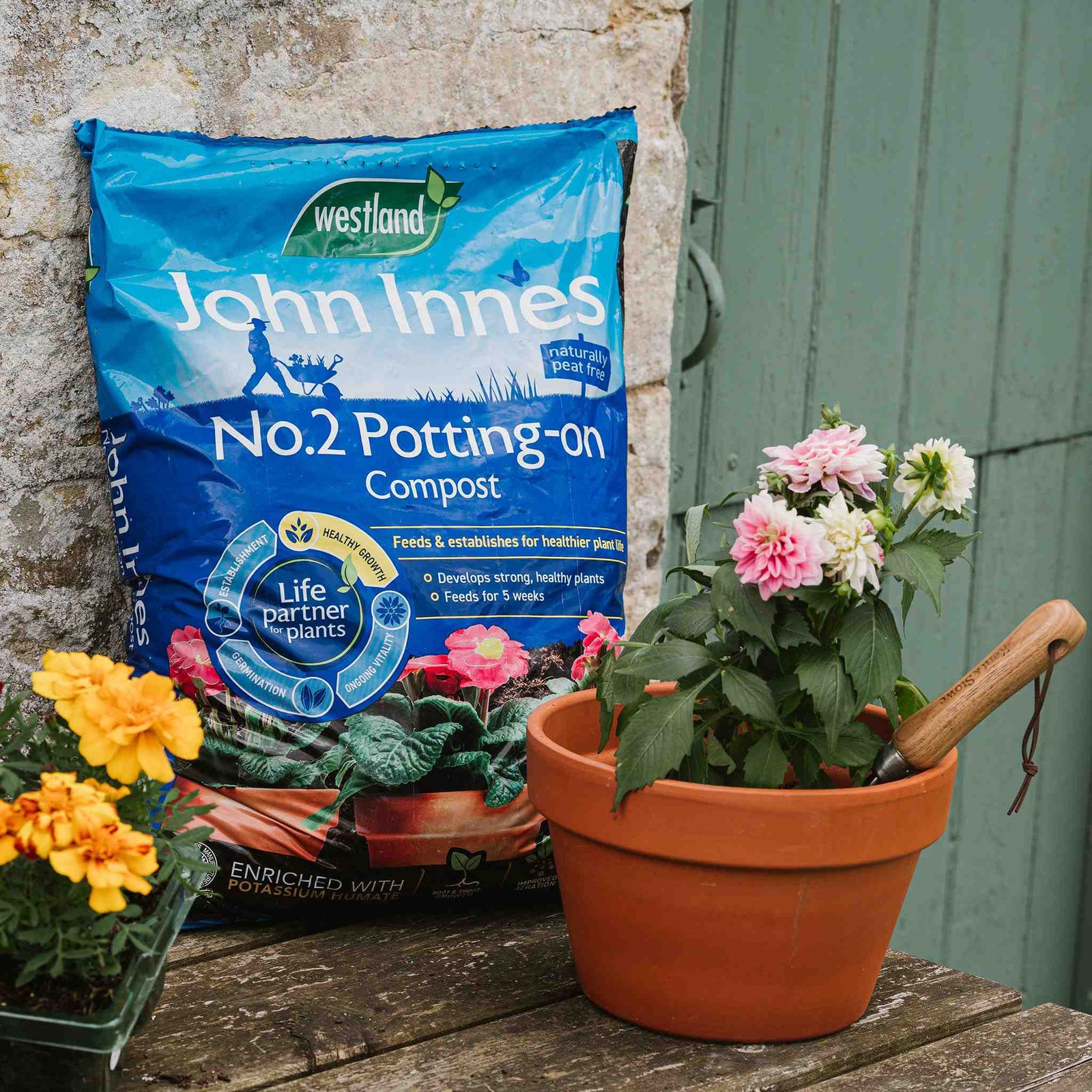 John Innes Peat-free No.2 Potting On Compost | 28l