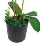 Artificial Orchid Xl Metal Bowl Planter 70x70cm