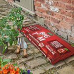 Big Tom Peat Free Tomato Planter | Single
