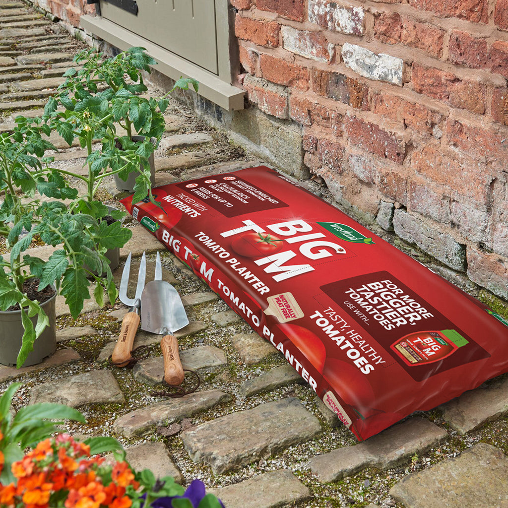 Big Tom Peat Free Tomato Planter | Single