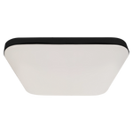 Nemo 17w(100w) Ceiling Lamp A Stylish Robust 33cm Ceiling Lamp With Matt Black Edging Outdoor Or Bathroom