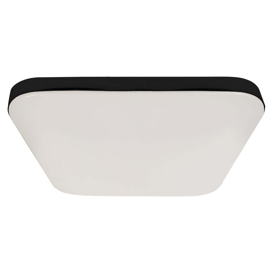 Nemo 17w(100w) Ceiling Lamp A Stylish Robust 33cm Ceiling Lamp With Matt Black Edging Outdoor Or Bathroom