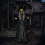 Voice Activated Halloween Animatronics Witch, Battery Operated