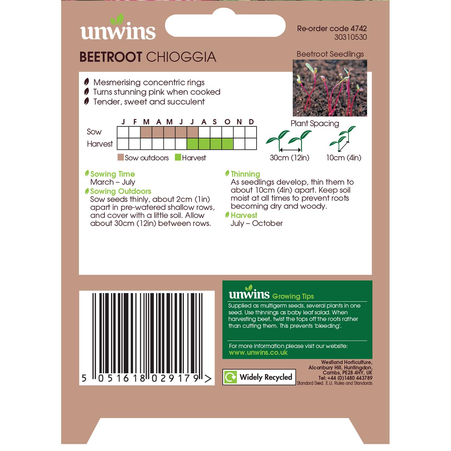 Chioggia Beetroot Seeds | 250 Seeds