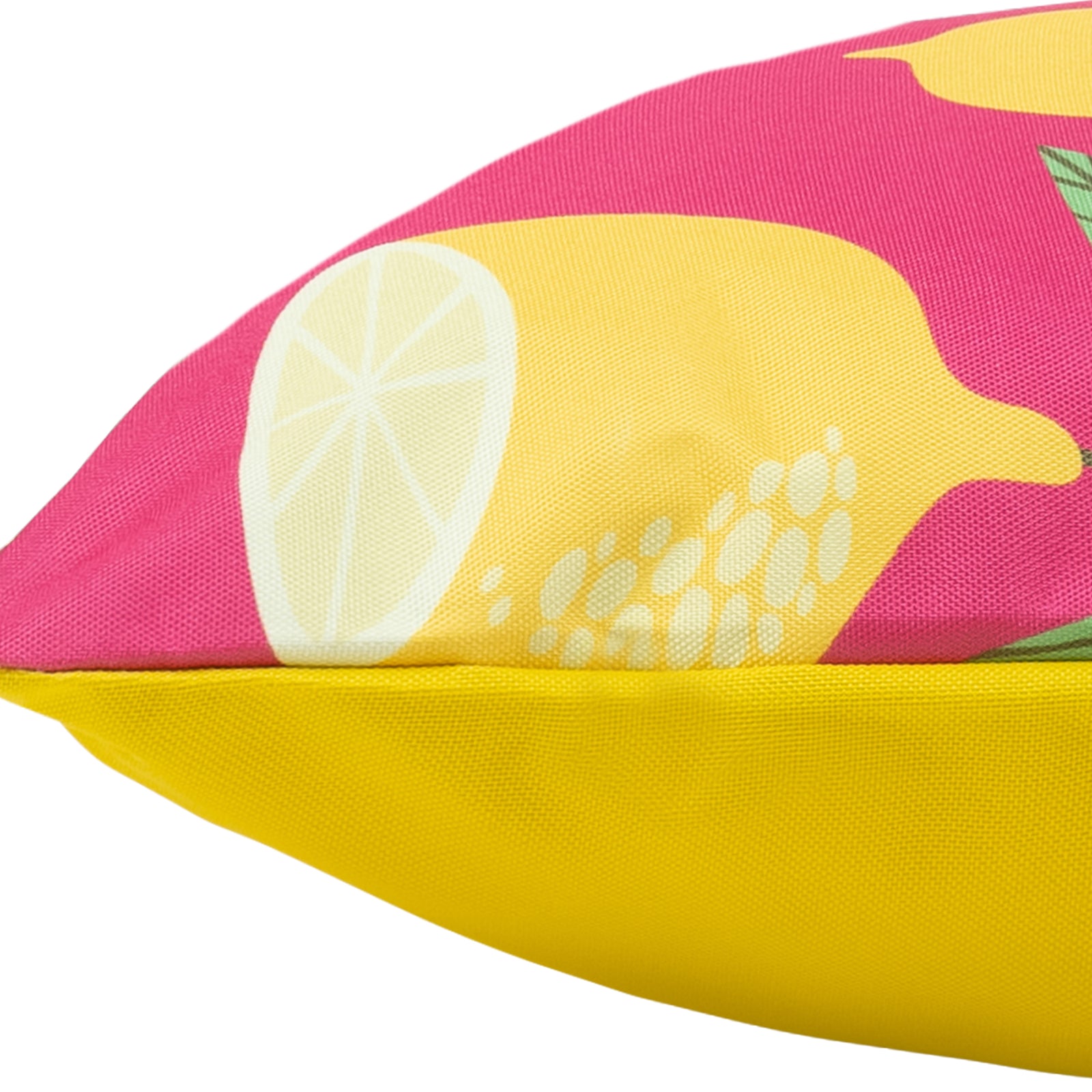 Fruity Prints Indoor Set Of 4 Outdoor Cushions - Collection Two