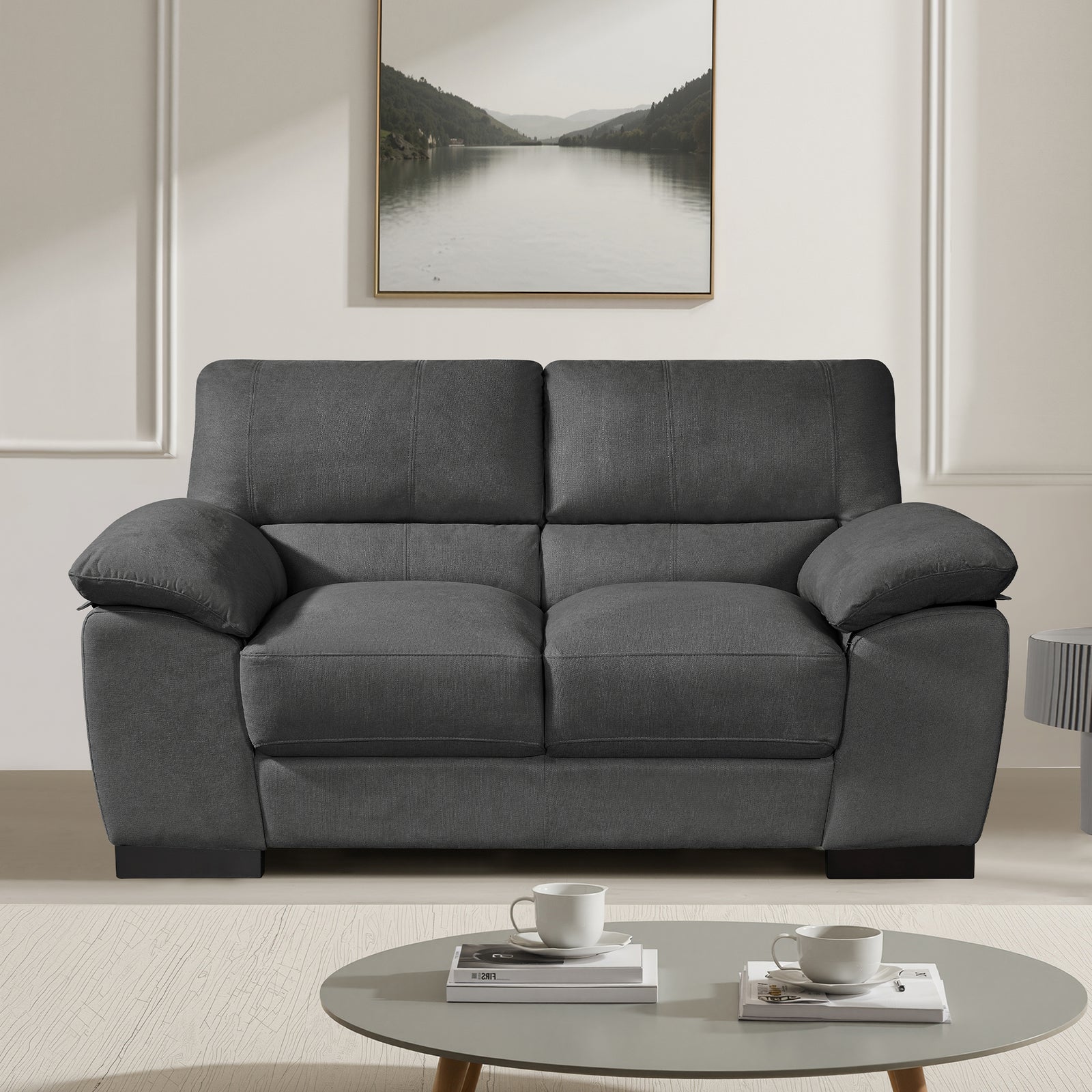 Mellette Soft Fabric 2 Seat Sofa | Charcoal Grey