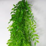 Hanging String Of Pearls Fern Plant Light Green 100cm Artificial