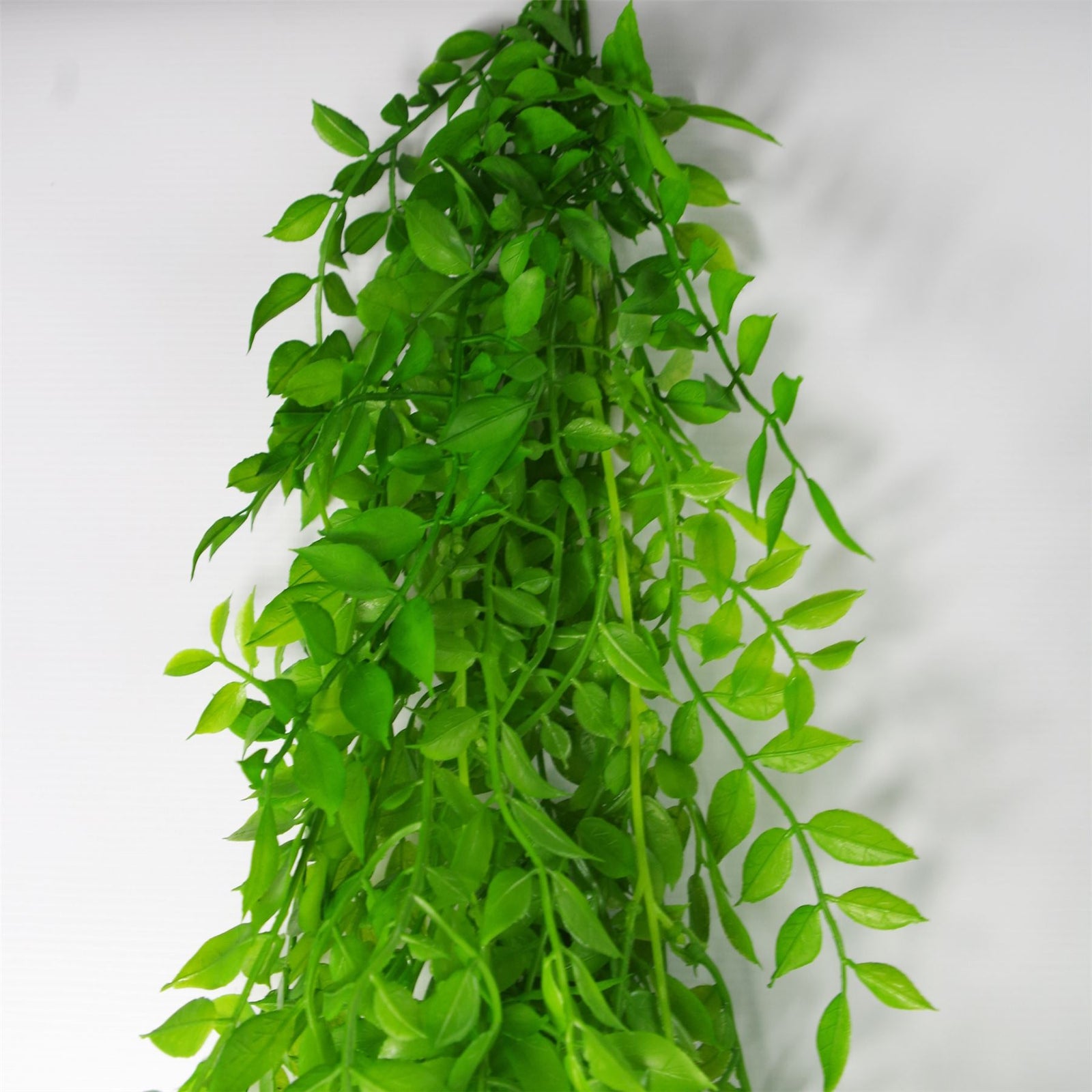 Hanging String Of Pearls Fern Plant Light Green 100cm Artificial