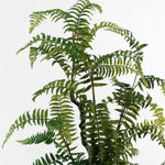 70cm Artificial Fern Tree In Decorative Planter