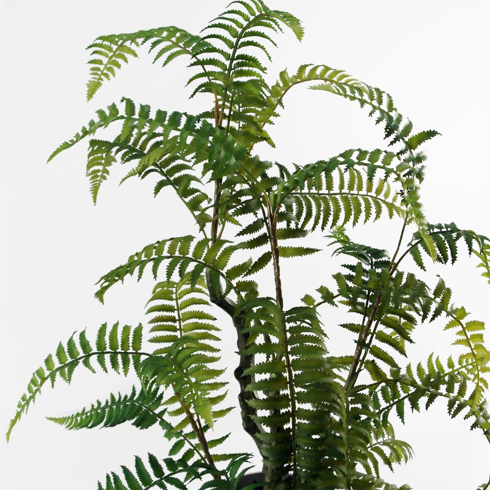 70cm Artificial Fern Tree In Decorative Planter