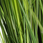 Leaf Artificial 130cm Extra Large Grass Plant With Gold Metal Planter