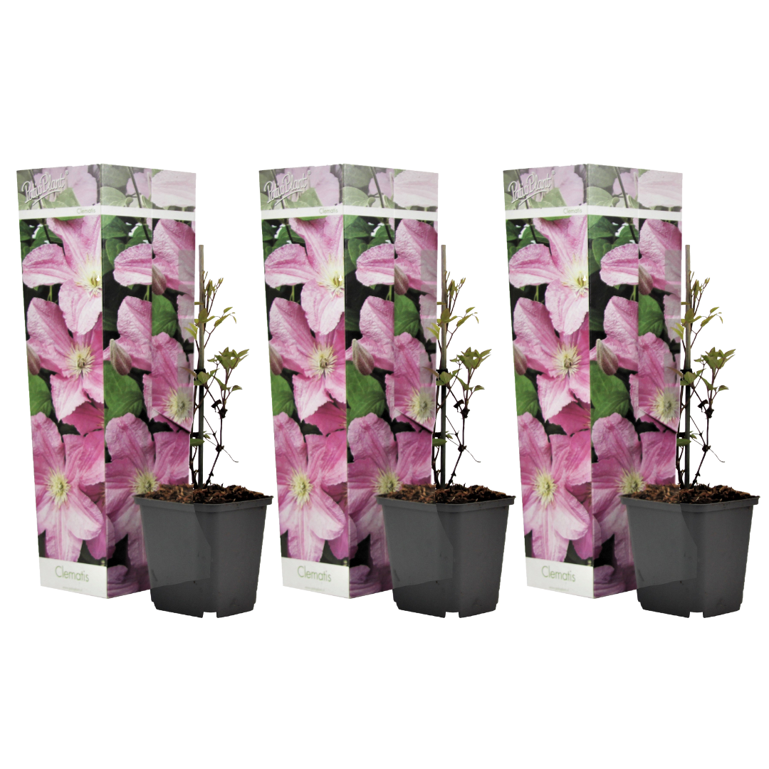 Leather Flower - 3 Pcs. - Height 25-40cm - ⌀9cm | Set of 3 | Pink