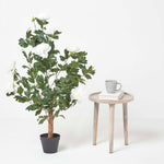 Artificial Peony Tree In Black Pot, 100 Cm Tall | 100cm | Beige