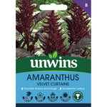 Amarathus 'velvet Curtains' Seeds, Red-purple Foliage Rhs Agm | 1000 Seeds | Ruby Red
