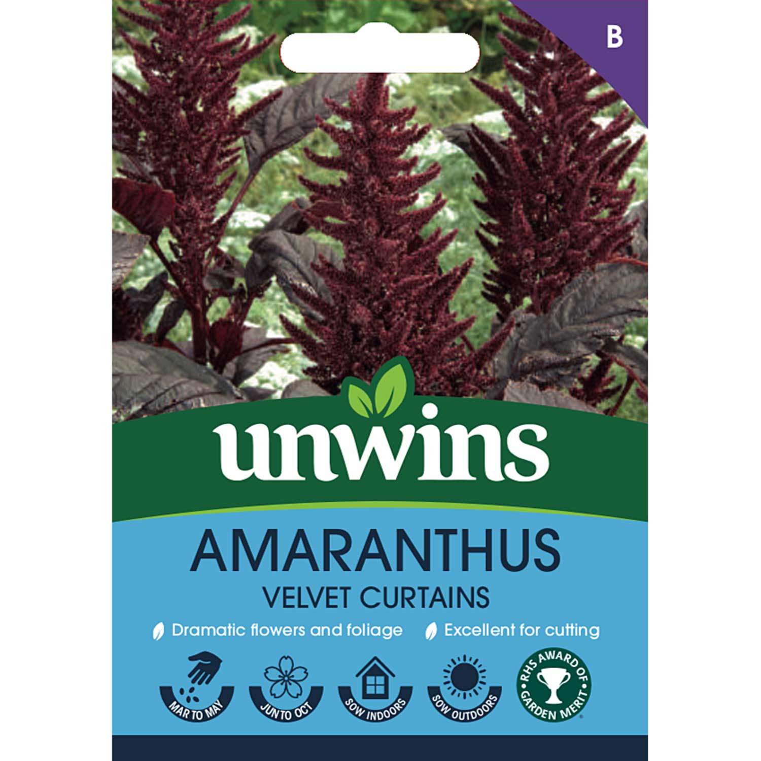 Amarathus 'velvet Curtains' Seeds, Red-purple Foliage Rhs Agm | 1000 Seeds | Ruby Red